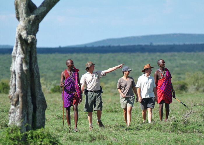 Safari Tour Guide Outfits