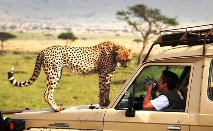 Africa safari tours