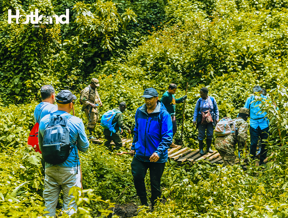 Package 1 Plan de travail 2